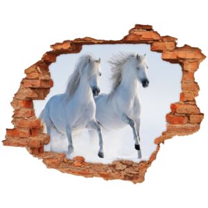 Dziura 3d fototapeta na ścianę Dwa konie w śniegu