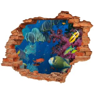 Dziura 3d fototapeta na ścianę Rafa koralowa