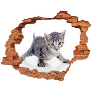 Dziura 3d fototapeta na ścianę naklejka Mały kot