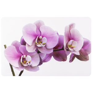 Koopman Podkładki Orchidea 28 x 43 cm, 4 szt