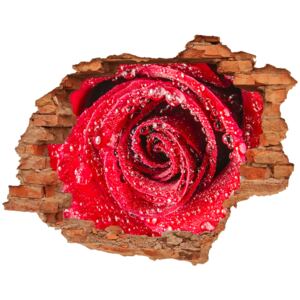 Samoprzylepna dziura Krople wody na róży