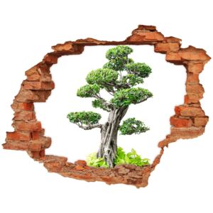 Samoprzylepna dziura na ścianę Drzewo bonsai