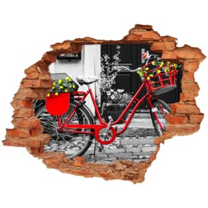 Fototapeta dziura na ścianę Rower miejski