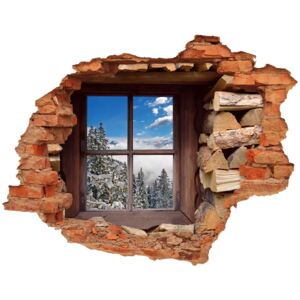 Fototapeta dziura na ścianę Zima za oknem