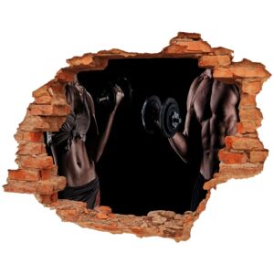 Samoprzylepna dziura na ścianę Budowa mięśni