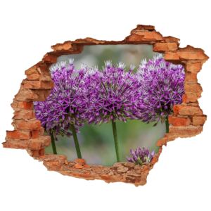 Naklejka 3D dziura na ścianę Kwiat czosnku