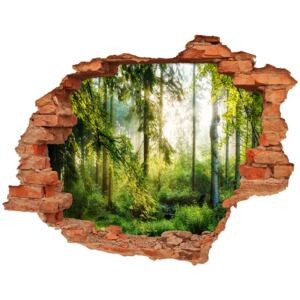 Dziura 3d w ścianie naklejka Poranne słońce las