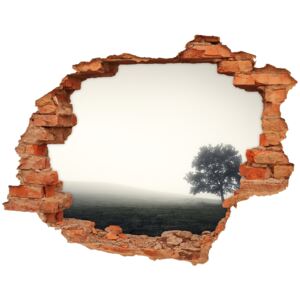 Dziura 3d w ścianie naklejka Samotne drzewo