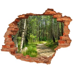 Dziura 3d w ścianie naklejka Ścieżka w lesie
