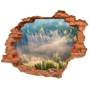 Fototapeta dziura na ścianę Mgła w lesie