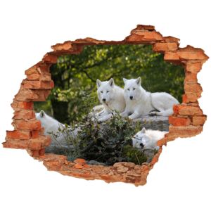Dziura 3d foto tapeta naklejka Białe wilki skała