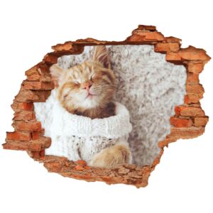 Dziura 3d foto tapeta naklejka Kotek w swetrze