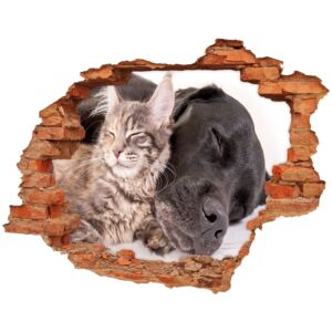 Dziura 3d foto tapeta naklejka Pies z kotem