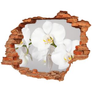 Samoprzylepna naklejka na ścianę Orchidea