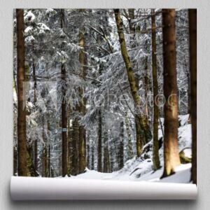 Fototapeta Las zimowy krajobraz górski Góry Stołowe w Polsce