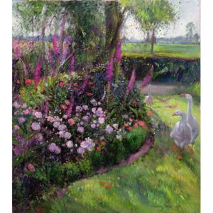 Reprodukcja Rose Bed and Geese 1992, Timothy Easton