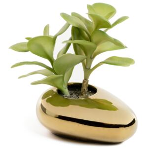 Roślina dekoracyjna Succulent 11x15 cm doniczka złota
