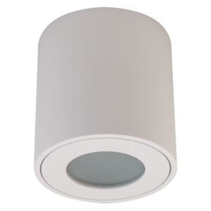 Aqua IP54 lampa sufitowa tuba biała do łazienki