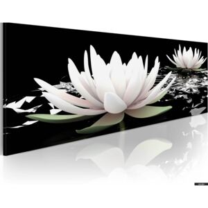 Obraz - Rejs lilii 120x40 cm