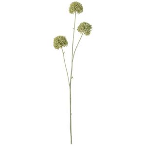 Gałązka dekoracyjna Allium 81 cm zielono-biała
