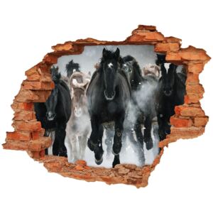 Fototapeta dziura na ścianę Konie w galopie