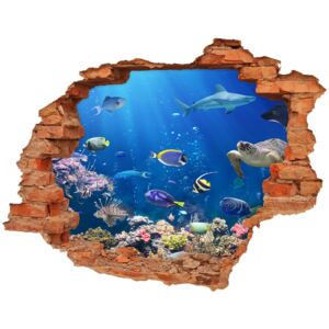 Dziura 3d fototapeta ścienna Rafa koralowa