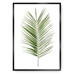 Plakat DEKORIA Palm Leaf Green, 70x100 cm, czarna ramka