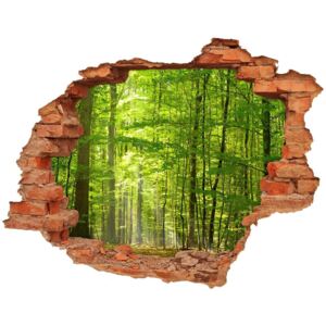 Dziura 3d w ścianie na ścianę Liściasty las