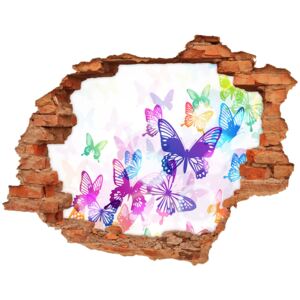 Dziura 3d fototapeta na ścianę Kolorowe motyle