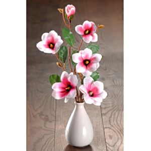 Gałązki magnolii do wazonu