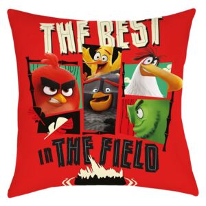 Mała poduszka Angry Birds Movie 2 The Field, 40 x 40 cm