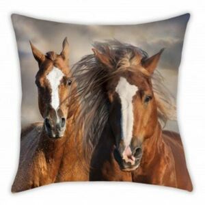 Mała poduszka Animals Horses, 40 x 40 cm
