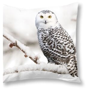 Poszewka na poduszkę Snowy Owl, 50x50 cm