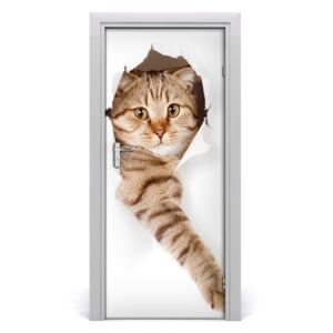 Naklejka samoprzylepna na drzwi ścianę Kot