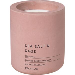 Świeca zapachowa Fraga Sea Salt & Sage 11 cm
