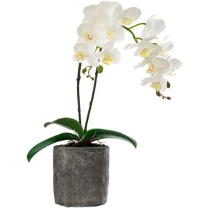 Sztuczna roślina w donicy Orchidea, 42 cm, kolor biały