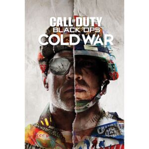 Plakat, Obraz Call of Duty Black Ops Cold War - Split, (61 x 91,5 cm)