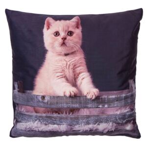 Jahu Poszewka na poduszkę Kotek w koszyku 2, 40 x 40 cm