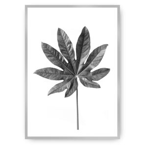 Plakat Leaf Grey