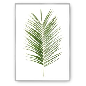 Plakat Palm Leaf Green