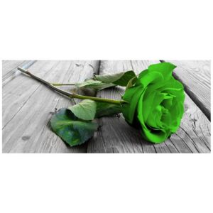 Fototapeta, Limonkowa róża na deskach, 12 elementów, 536x240 cm