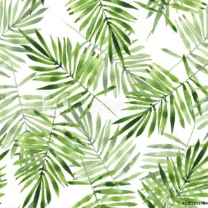 Fototapeta Liście palmowe jasnozielone