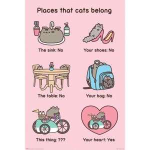 Plakat, Obraz Pusheen - Places Cats Belong, (61 x 91,5 cm)