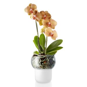 Eva Solo Szklana samonawadniająca doniczka na orchideę Ø 13 cm