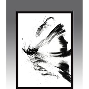 Czarno-biały, minimalistyczny obraz. Motyl 2. Seria Effect