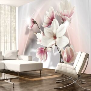 Fototapeta - KWIATY Białe magnolie