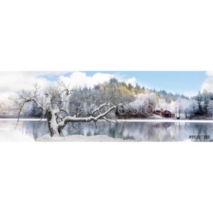 Fototapeta Drzewo w zimowy krajobraz