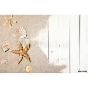 Fototapeta białe drewno piasek i muszelki