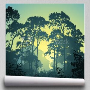 Fototapeta Lasowy krajobraz z drzewami i zmierzchu wschodem słońca