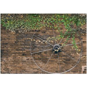 Fototapeta HD Stare koło na murze, 100x70 cm